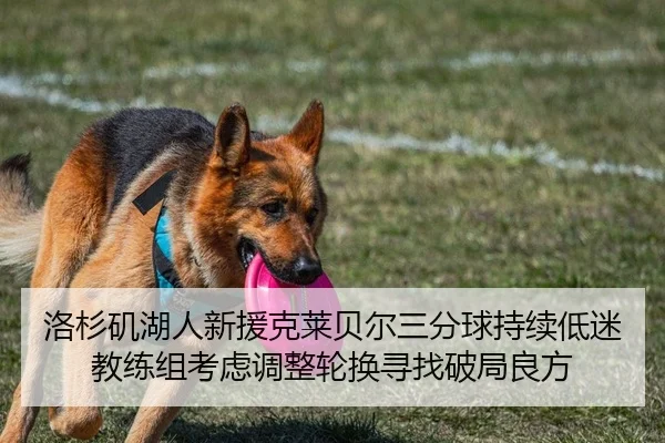 洛杉矶湖人新援克莱贝尔三分球持续低迷 教练组考虑调整轮换寻找破局良方
