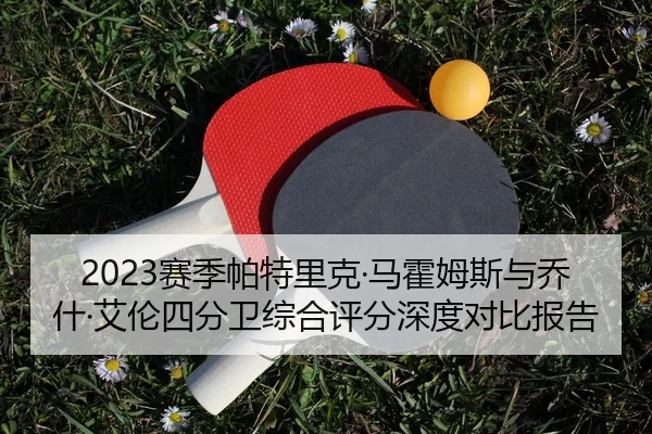 sai-ji-pa-te-li-ke-ma-huo-mu-si-yu-qiao-shen-ai-lun-si-fen-wei-zong-he-ping-fen-shen-du-dui-bi-bao-gao-2-809.jpg